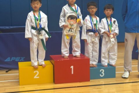 Youth Taekwondo Challenge 2025