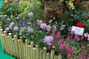 Screenshot 2025-09-04 154346