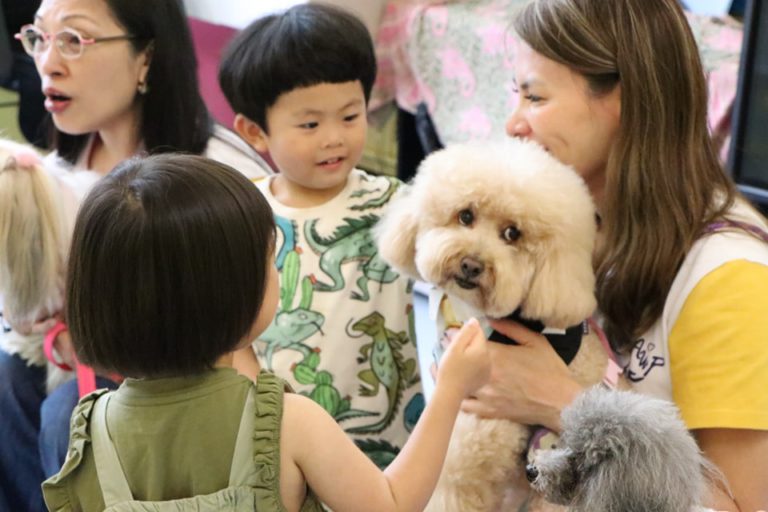 Volunteer Dogs Visit-04